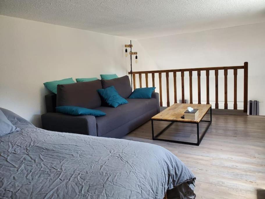 Appartement Chaleureux. Barcelonnette Εξωτερικό φωτογραφία