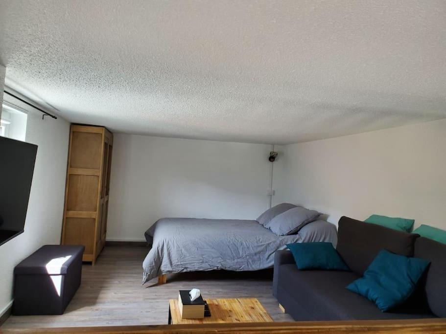 Appartement Chaleureux. Barcelonnette Εξωτερικό φωτογραφία